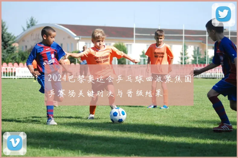 2024巴黎奥运会乒乓球回放聚焦国乒赛场关键对决与晋级结果