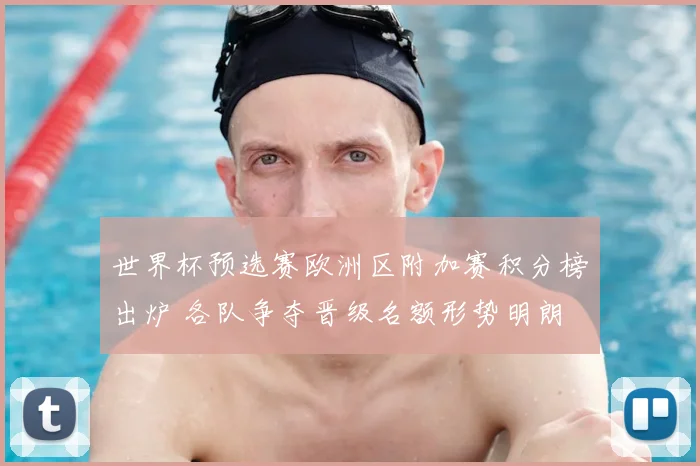 世界杯预选赛欧洲区附加赛积分榜出炉 各队争夺晋级名额形势明朗