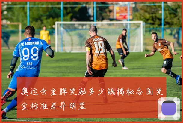 奥运会金牌奖励多少钱揭秘各国奖金标准差异明显