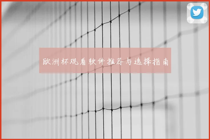 欧洲杯观看软件推荐与选择指南