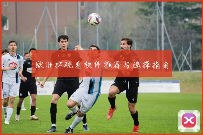 欧洲杯观看软件推荐与选择指南