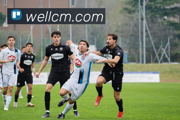 数据防护可视化